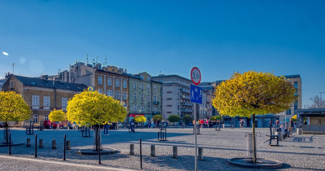 Mniej betonozy na dużym, krakowskim placu. Co posadzą?