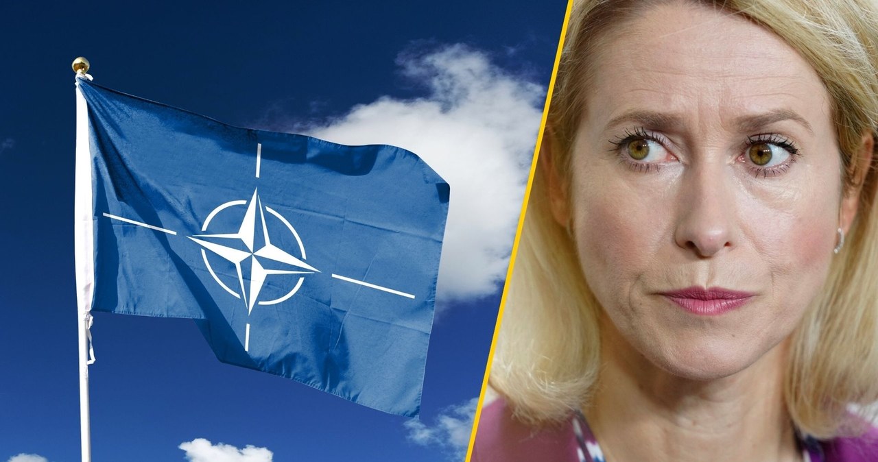 ​Polska zestrzeliła rosyjskie drony. Szefowa unijnej dyplomacji o "przełomowej reakcji"