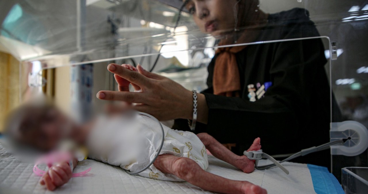 Kilogram pomidorów kosztuje 100 zł. Gaza na skraju humanitarnej przepaści