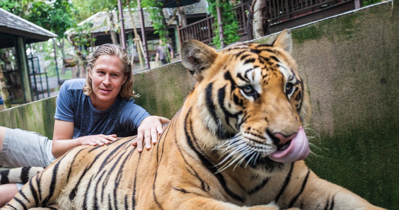 Wirus zabił ponad 70 tygrysów w miejscu popularnym wśród turystów