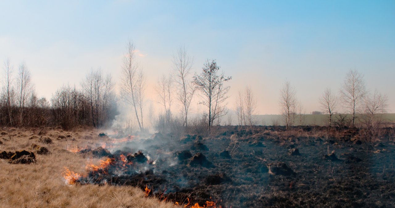 25 hektarów w ogniu. Dramatyczna walka z pożarem lasu i łąk