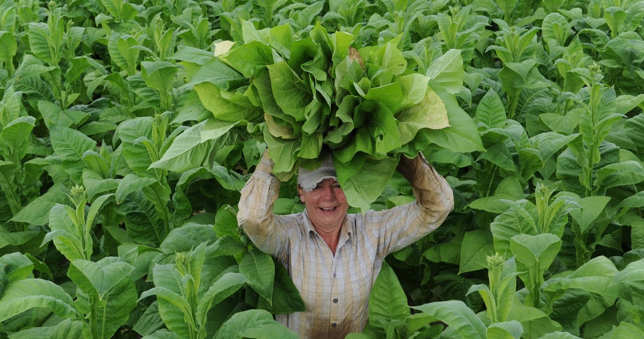 Polakom przestało się to opłacać. Wolimy zarobić w kraju