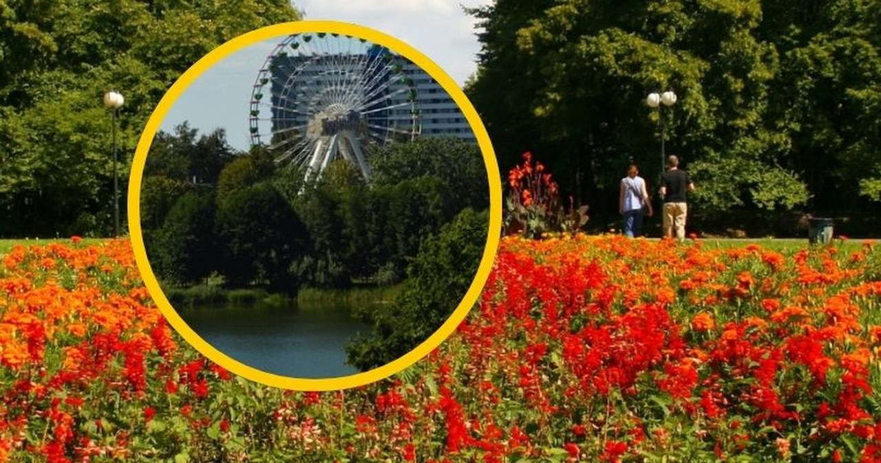 To największy miejski park w Polsce. Aż trudno uwierzyć, że powstał na śląskich hałdach