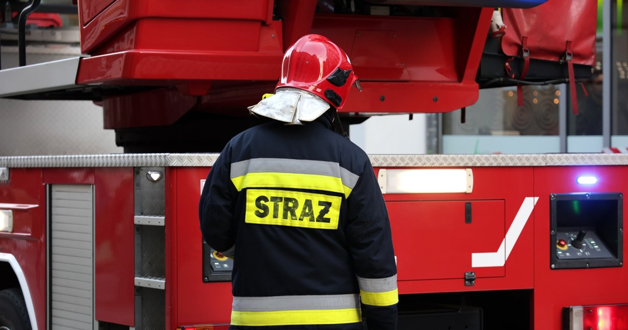 Pożar tartaku w Śląskiem. Strażacy walczyli z ogniem kilka godzin