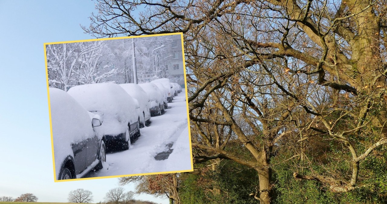 Na termometrach nawet 15 st. C. Po mrozach i śnieżycach zmiana pogody