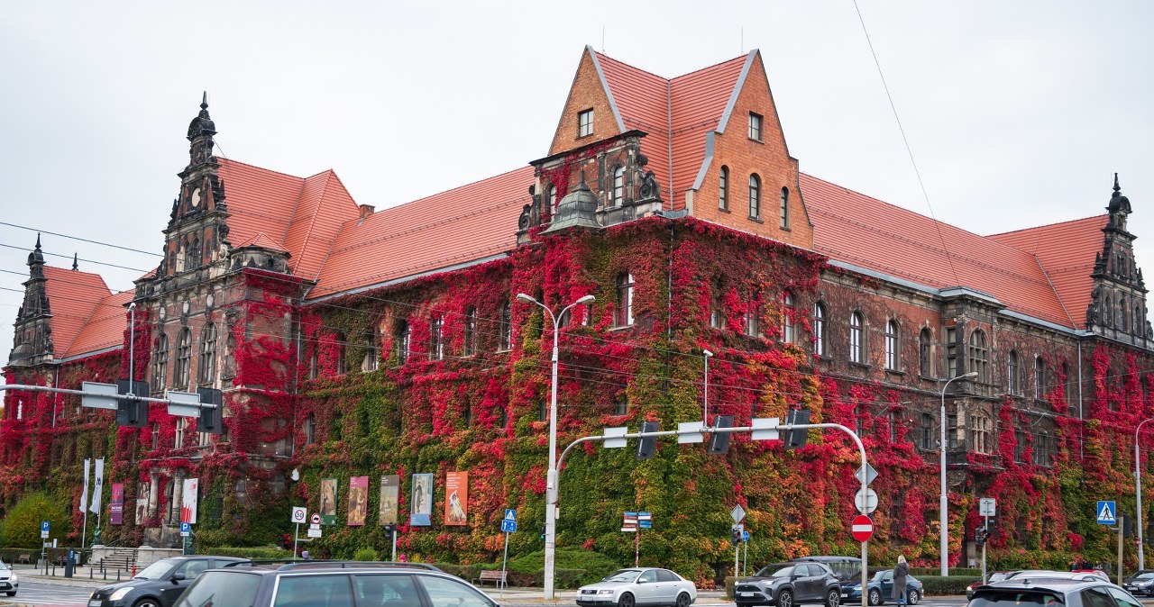 Polskie muzeum odzyskuje kolejne dzieło zaginione w czasie wojny