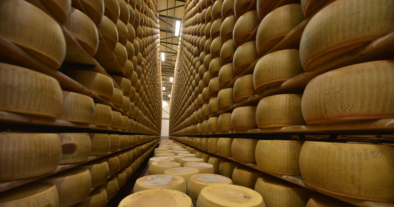 Wielka kradzież parmezanu we Włoszech. Złodzieje wynieśli ser wart fortunę