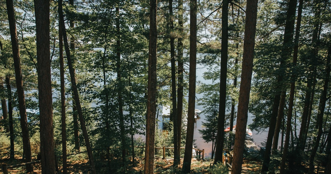 Sanepid kontroluje obozy i kolonie. Posypały się mandaty