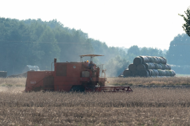 Minister o pracy w polu nawet nocą. Trudne żniwa przed rolnikami