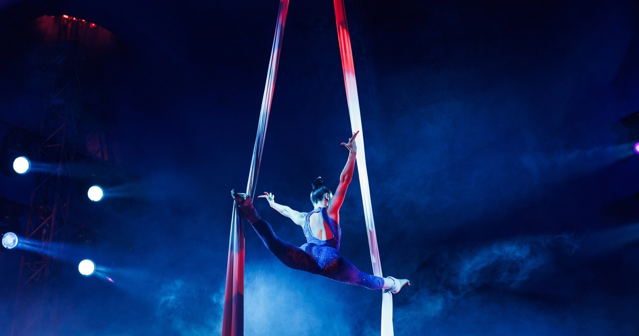 Dramat w cyrku. Na wszystko patrzyli widzowie