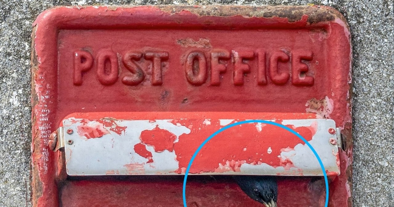 Skrzynka pocztowa przyszłości. Royal Mail wprowadza innowacje