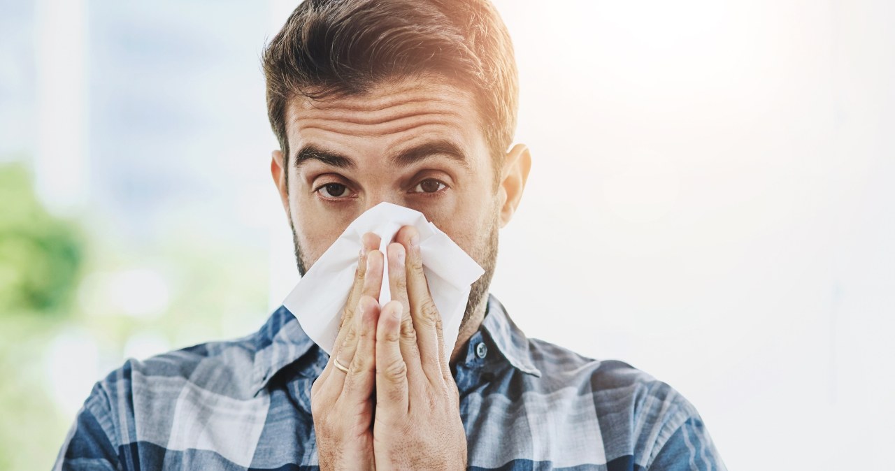 Alergia w mieście dokucza bardziej? Naukowcy z Krakowa wskazują winowajcę