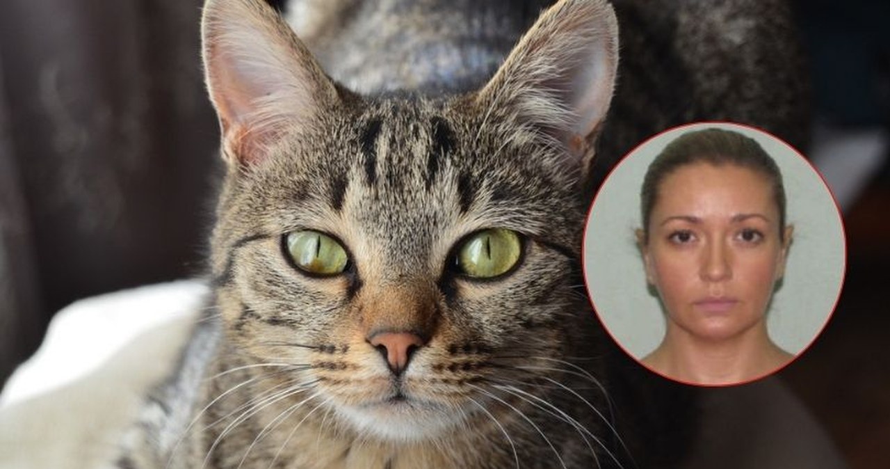 Tak wpadła rosyjska agentka rozpracowująca NATO. Zdradziła ją kotka