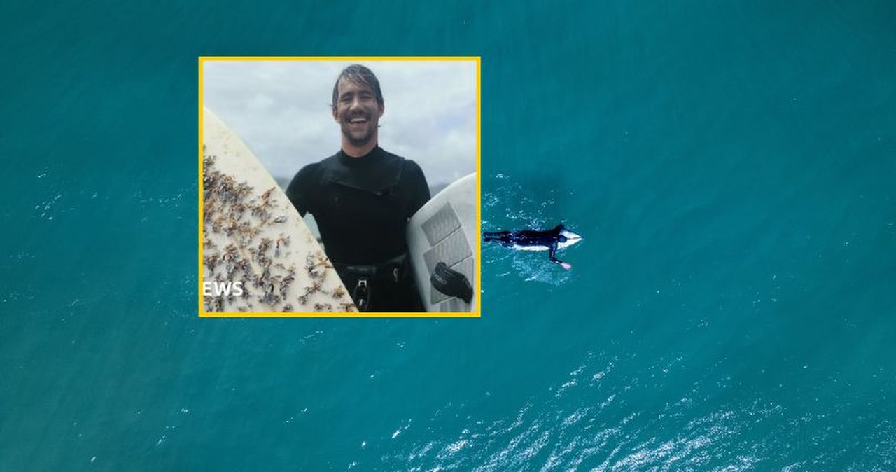 Deska surfingowa dryfowała ponad 2 tys. kilometrów.  "Odnalazła" właściciela