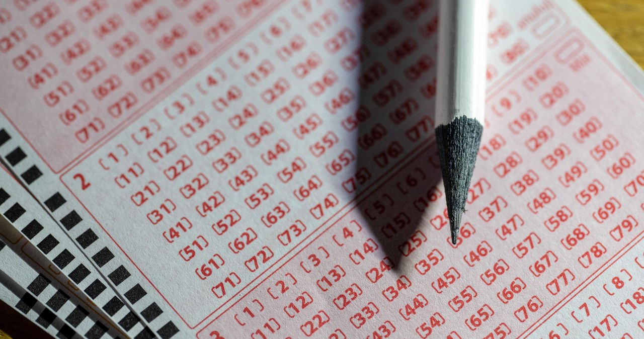 Zaufali szczęściu i nie mogą narzekać. Dolny Śląsk ma nowych milionerów