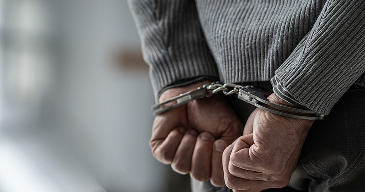 Międzynarodowy gang wyłudzający VAT rozbity. Straty sięgają 50 mln euro