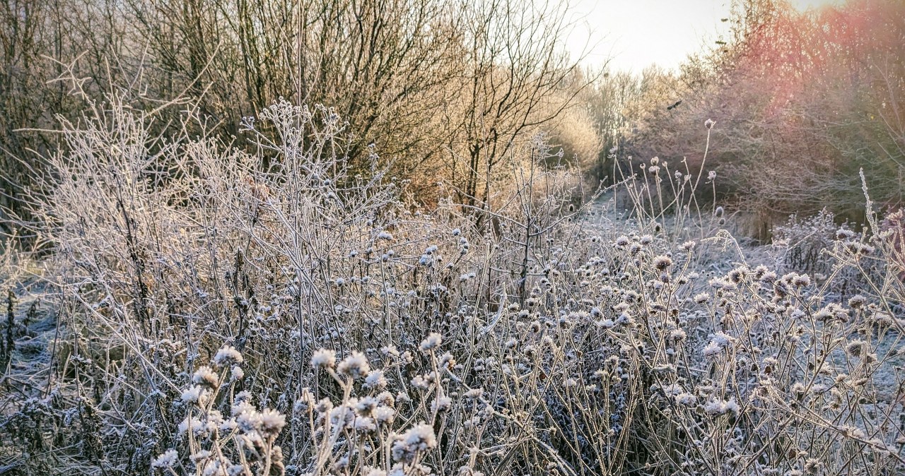 Wyciągnijcie z szafy ciepłe kurtki. Nadciągają przymrozki
