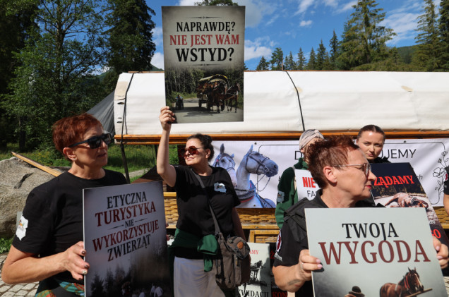 Protest na drodze do Morskiego Oka. „Nie jest wam wstyd?”