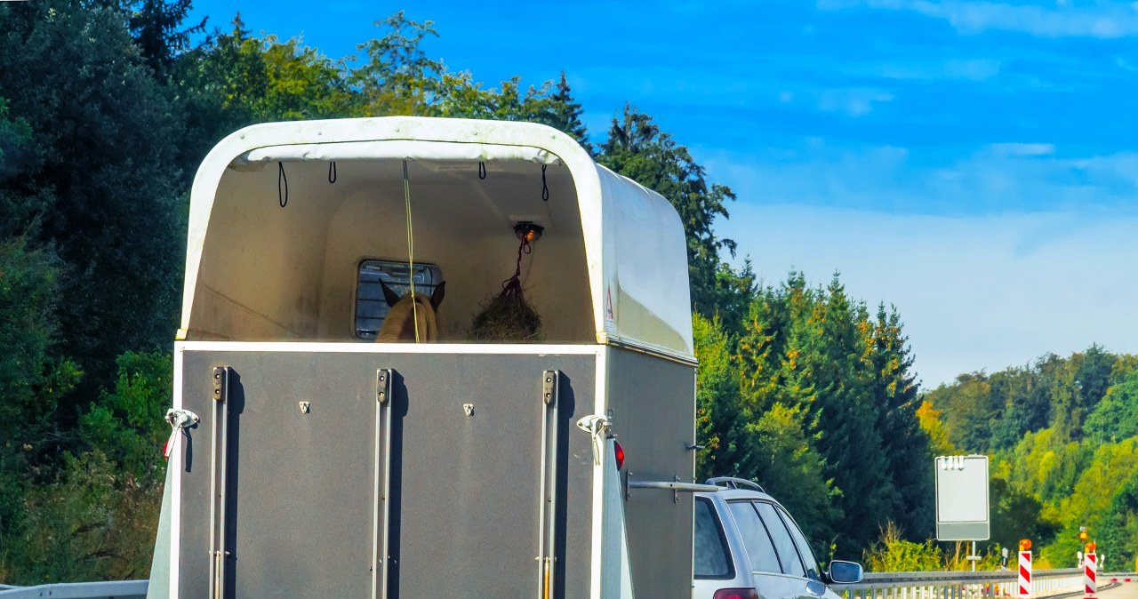 Przyczepa z końmi przewróciła się na S8