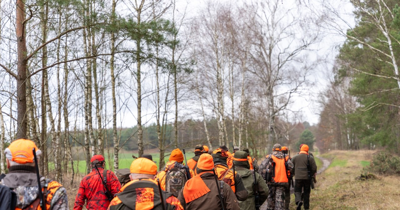 Tragedia podczas polowania. Strzał oddał zagraniczny myśliwy
