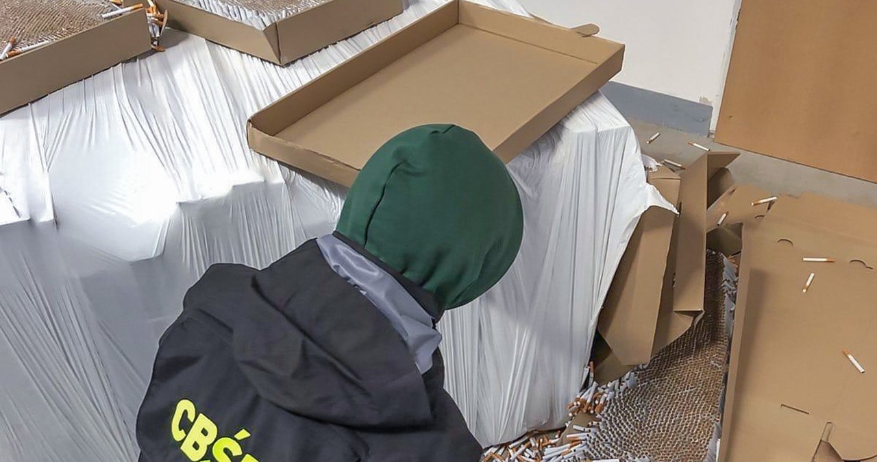 Dwóch Polaków w centrum przestępczego procederu. 155 milionów złotych strat