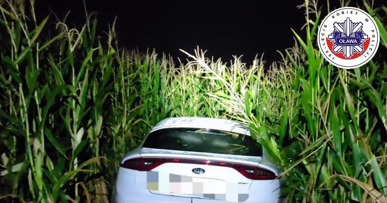 Wylądował w polu kukurydzy. 18-letni kierowca był nietrzeźwy