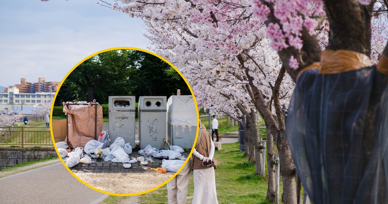 ​Popularny festiwal odwołany. Powodem zachowanie turystów