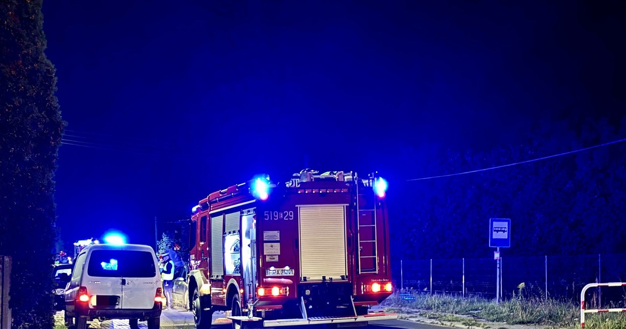 ​Konie wbiegły na drogę, wprost pod forda. Groźny wypadek w Łódzkiem