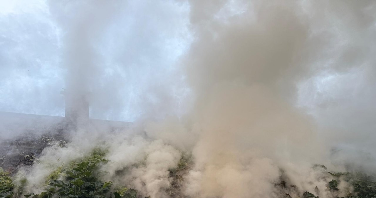 Kłęby dymu w popularnym parku rozrywki. Co się stało?