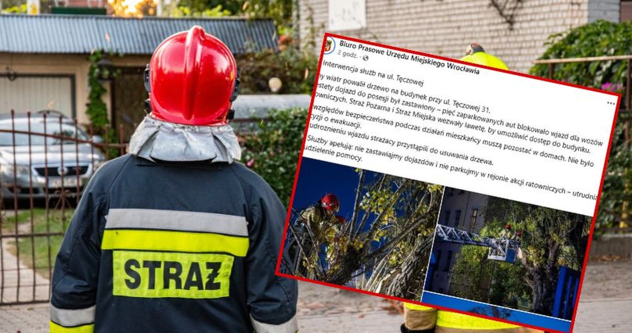 Strażacy musieli wzywać lawetę. Auta blokowały dojazd