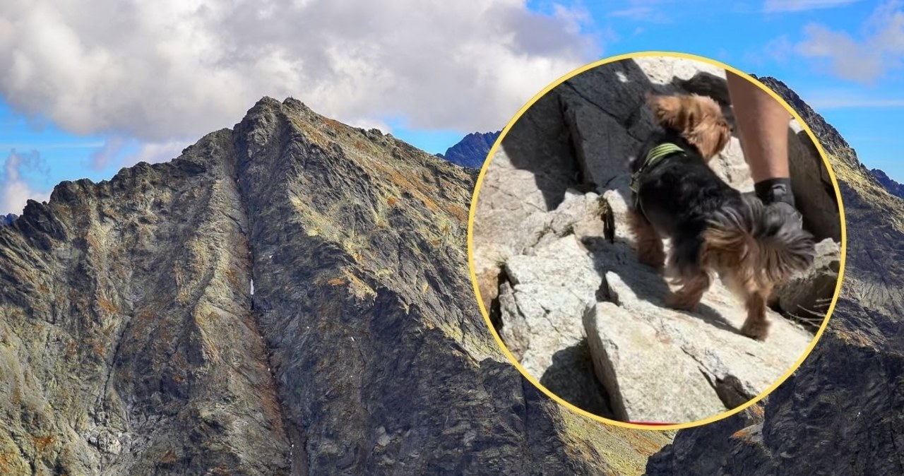 Nagranie z Tatr wywołało burzę w sieci. Turysta zabrał na Rysy yorka