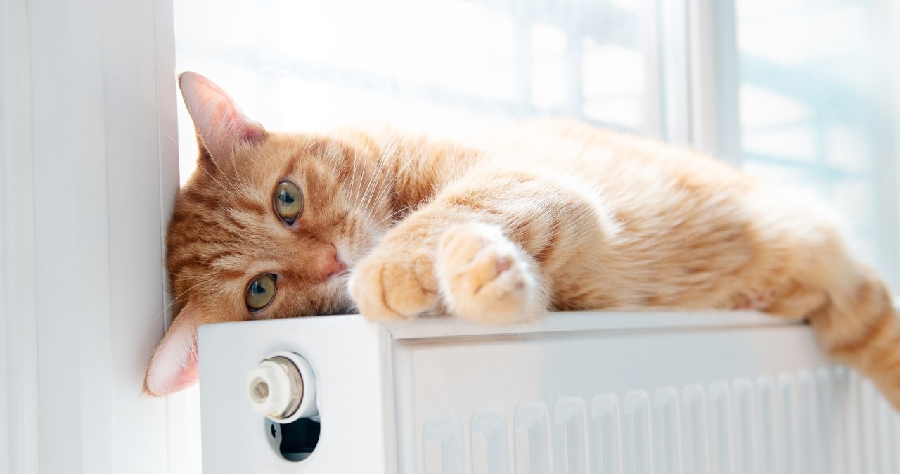 ​Jak odpowietrzyć kaloryfer? Praktyczny poradnik krok po kroku