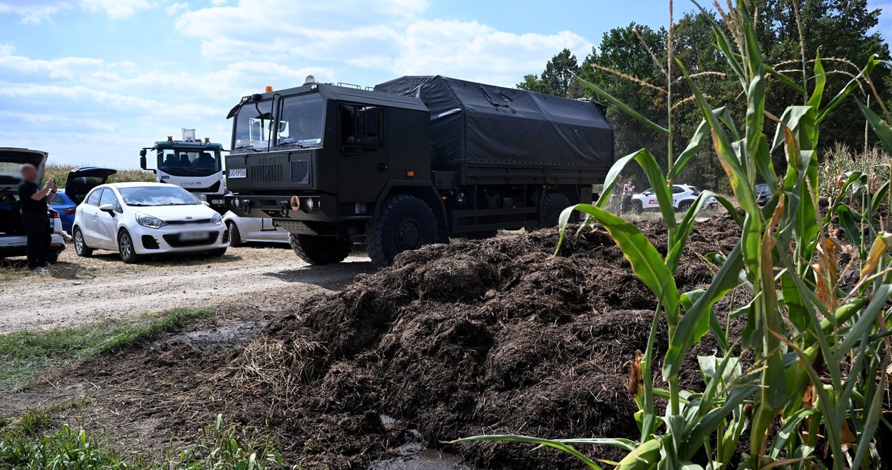 ​Co jeszcze skrywa pole kukurydzy? Drugi dzień poszukiwań w Osinach