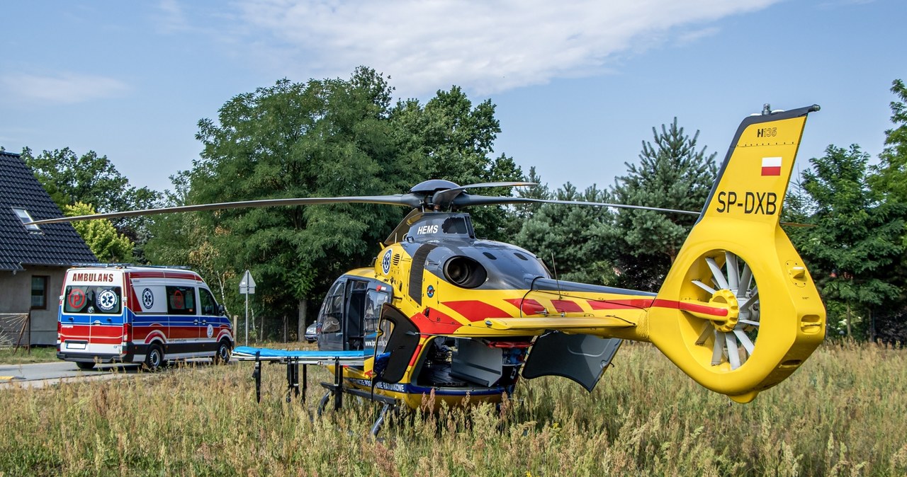 Konar runął na 5-latka. Rodzinna tragedia na Mazowszu