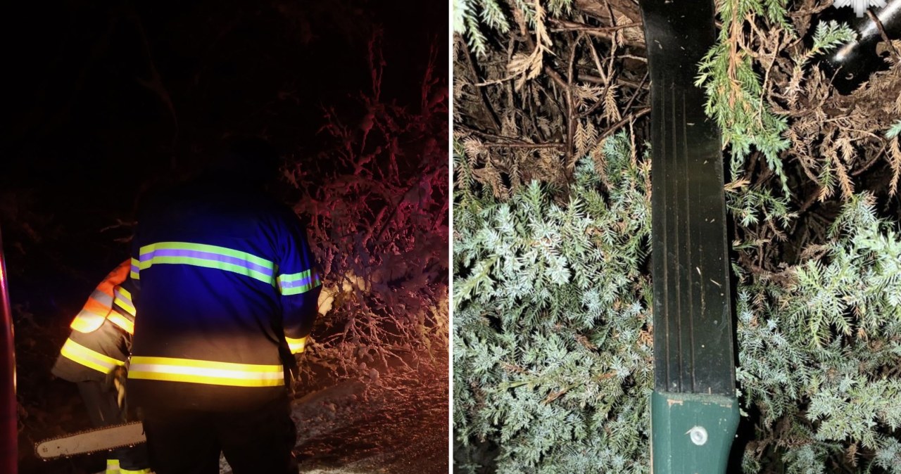 Nastolatkowie grozili maczetą i brutalnie zaatakowali rówieśników