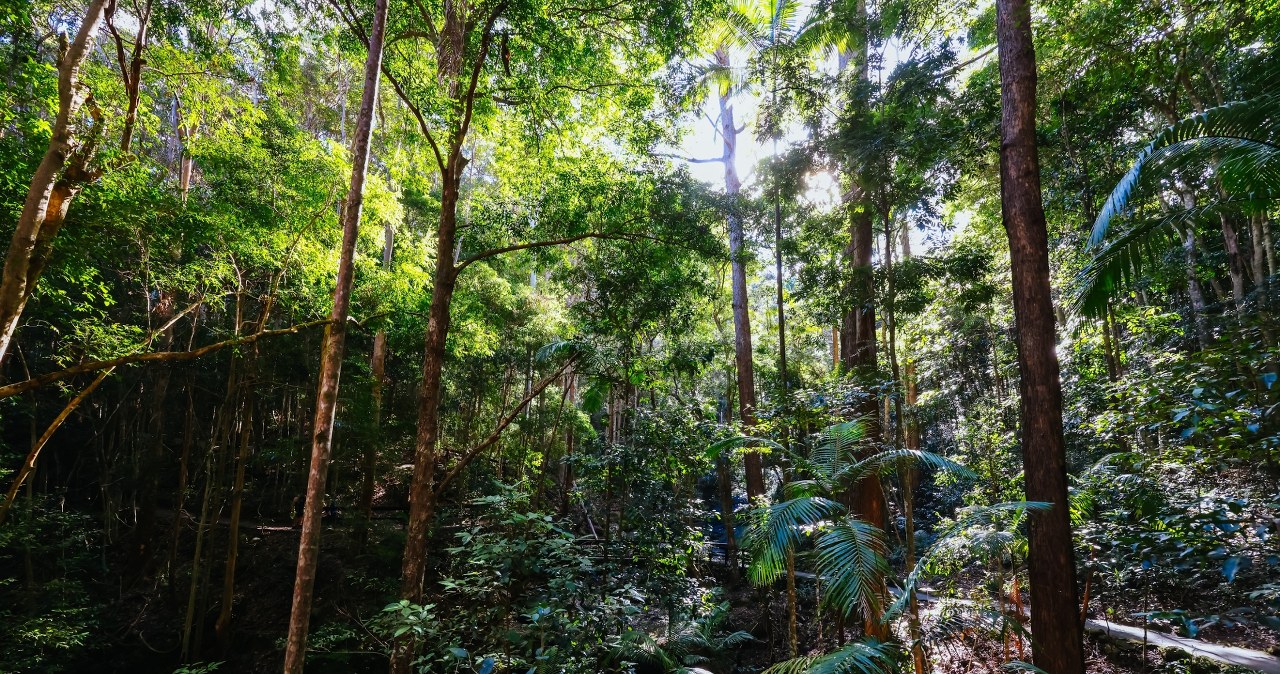Pierwszy taki przypadek. Zamiast nas chronić, szkodzą