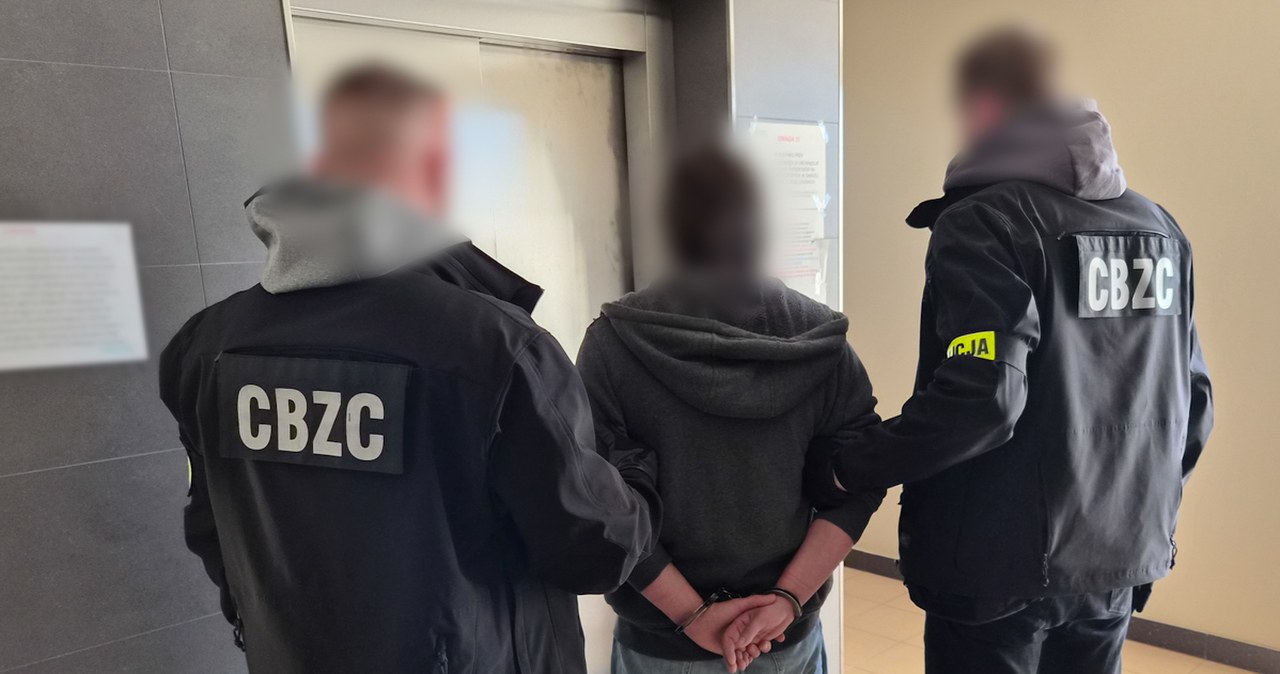 Potężne uderzenie służb. Ponad 120 osób wpadło w operacji "Hellfire"