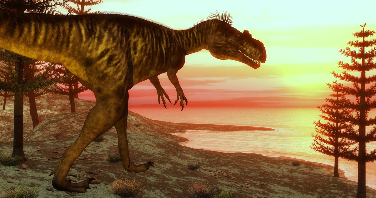 Odkryto największe ślady dinozaura w Wielkiej Brytanii