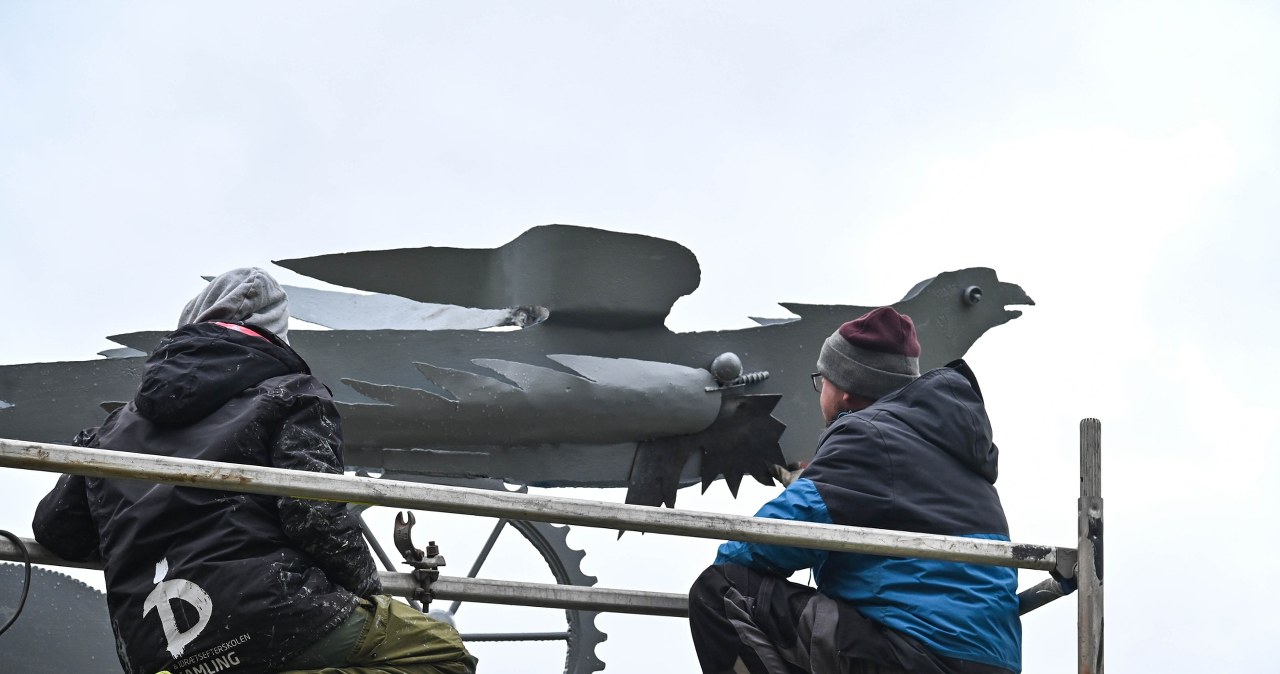 Szczecińskie ptaki wracają do życia. Jak feniks z popiołów