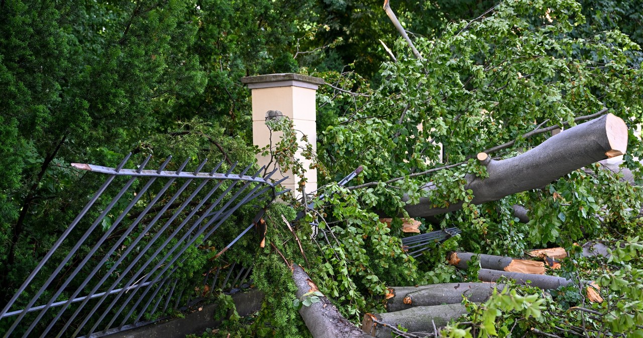 Szkody po burzach na Podkarpaciu. Samorządy otrzymały wsparcie