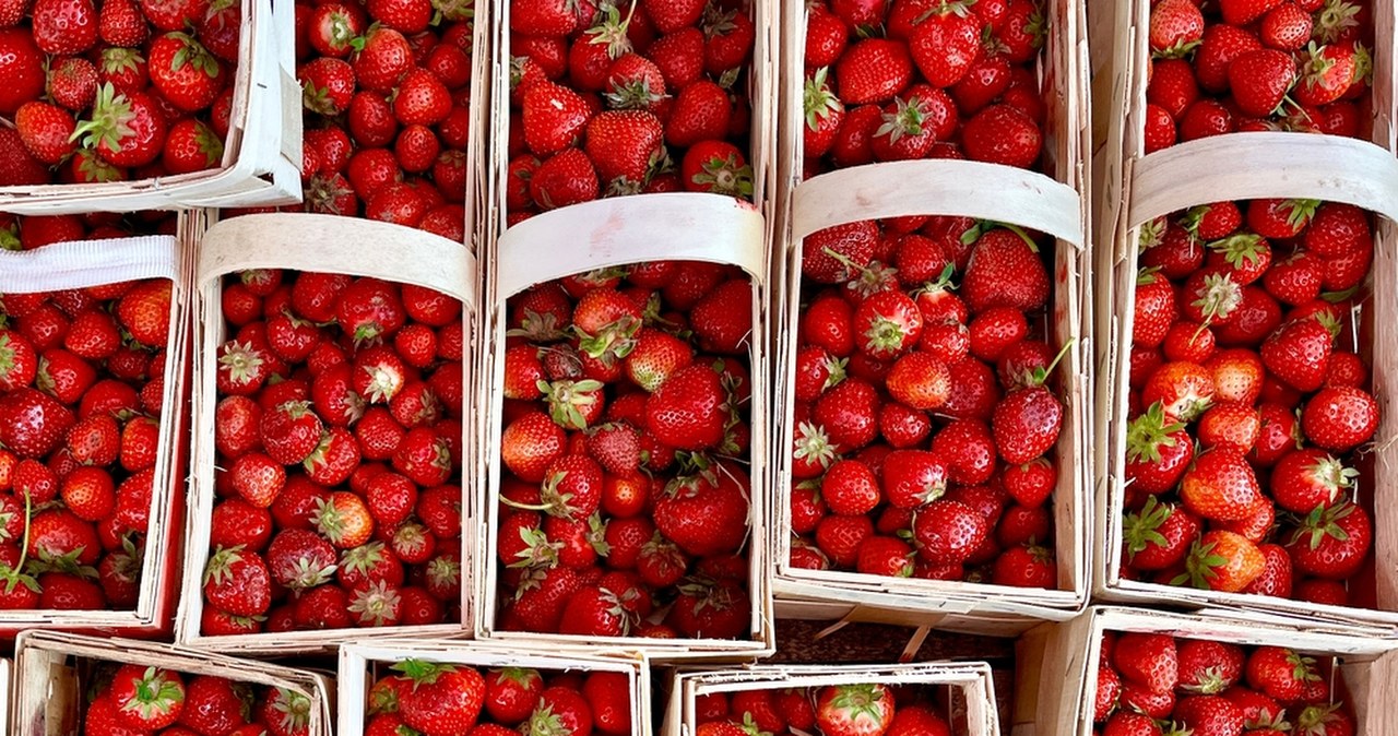 Kiedy pojawią się polskie truskawki? Znamy odpowiedź