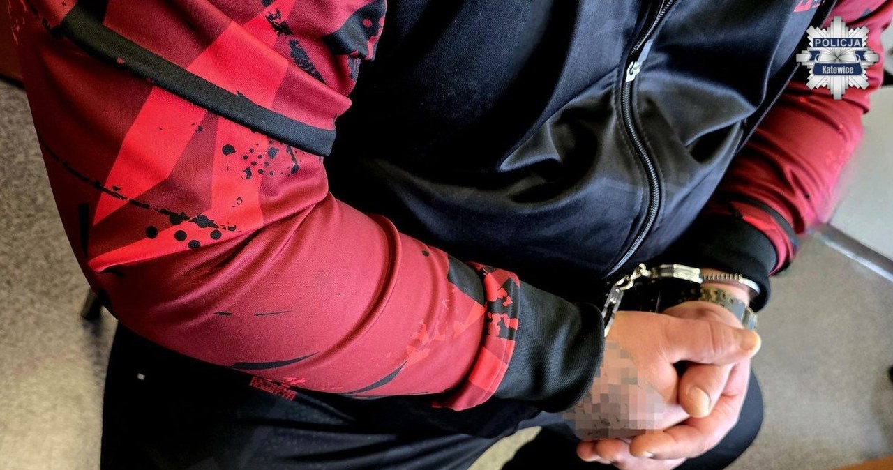 Wepchnęli 18-latka do bagażnika i pobili. Zarzuty dla 3 osób