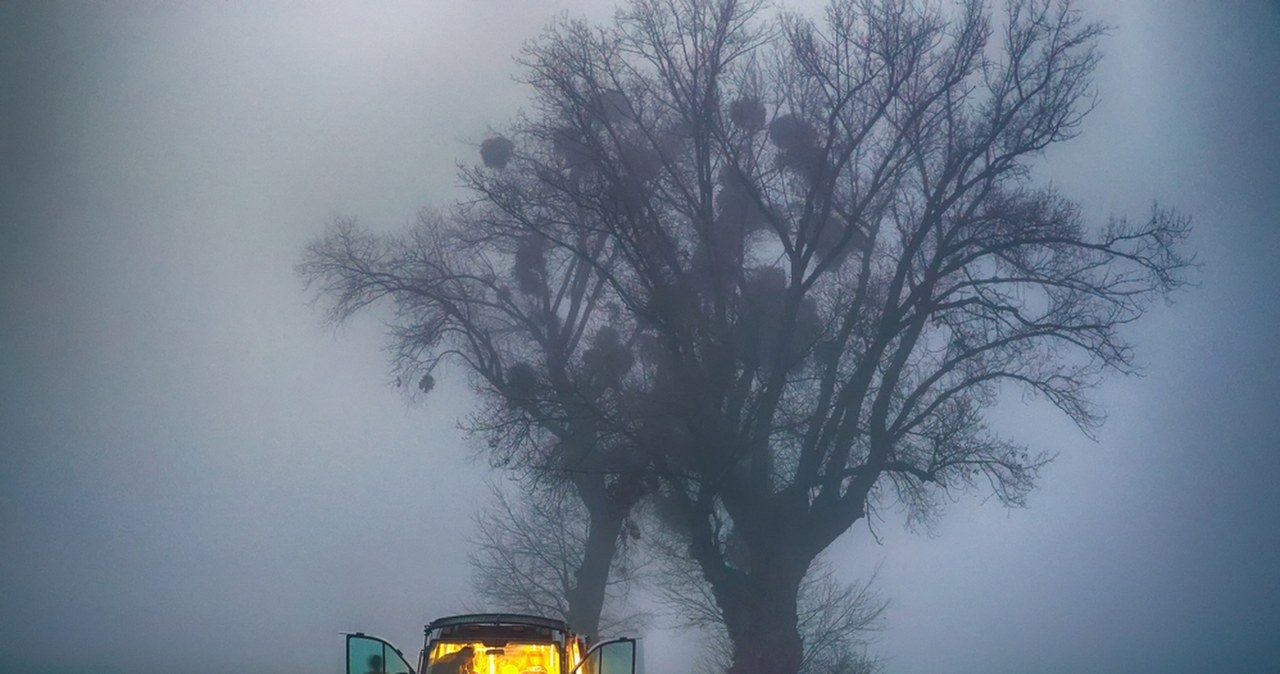 Nagle ruszył i zaczął uciekać. Śmierć po próbie uniknięcia kontroli policyjnej