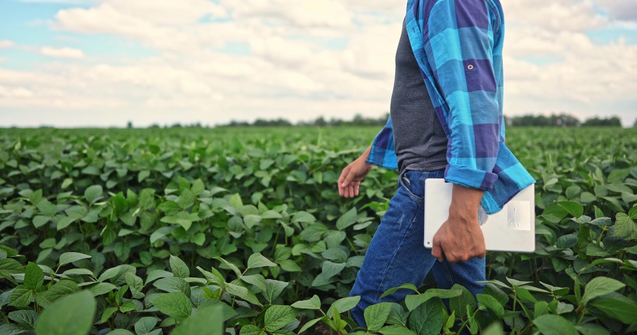 Rolnicy mają problem. Coraz trudniej kupić ubezpieczenie