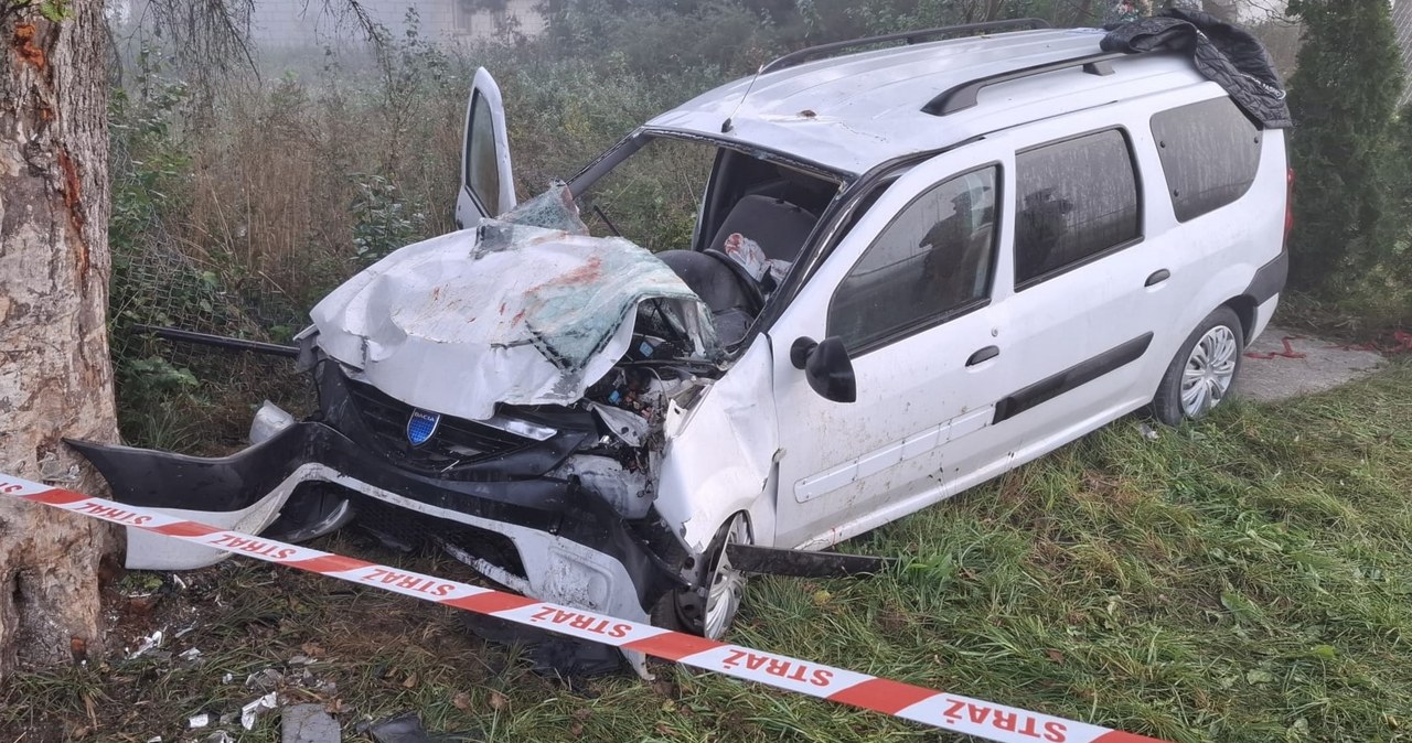 Auto z Gruzinami rozbite o drzewo. 7 osób w szpitalach