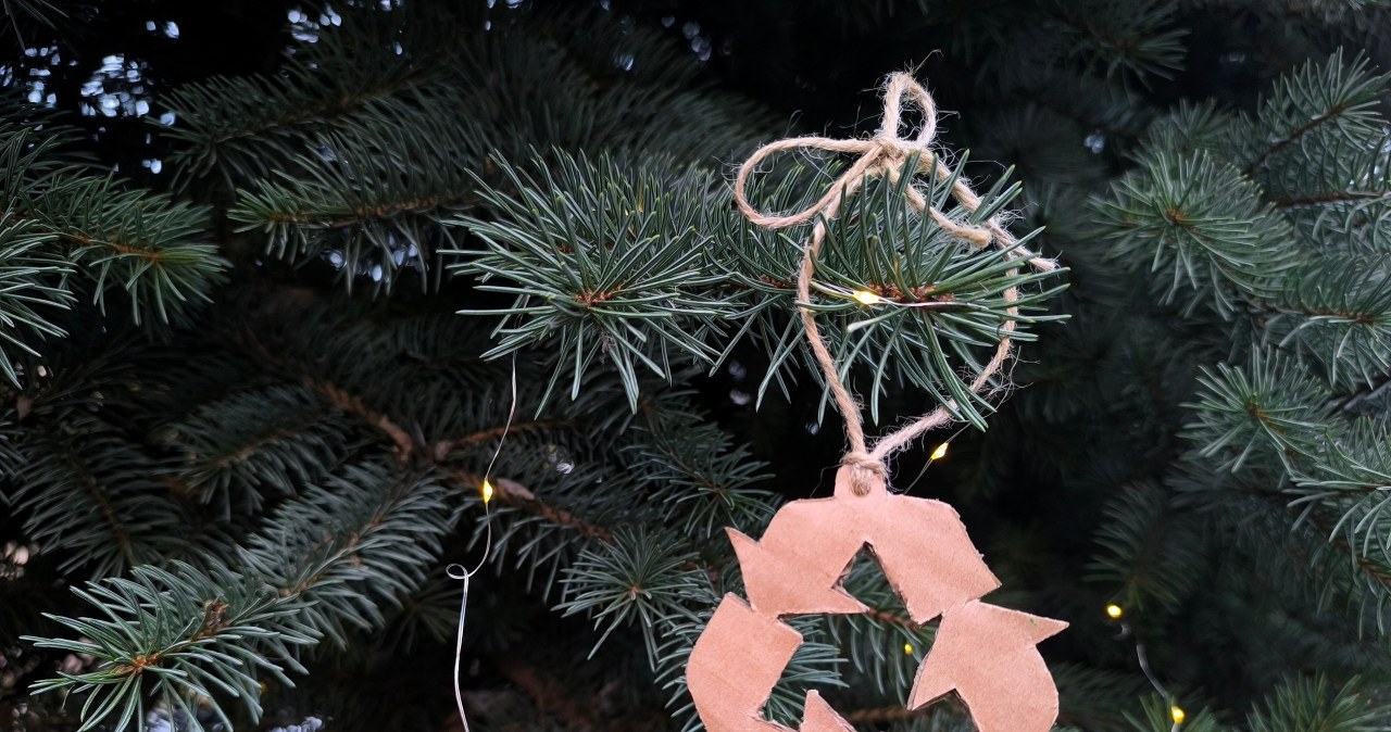 Nie wiesz, co zrobić z choinką po świętach? Jest kilka opcji