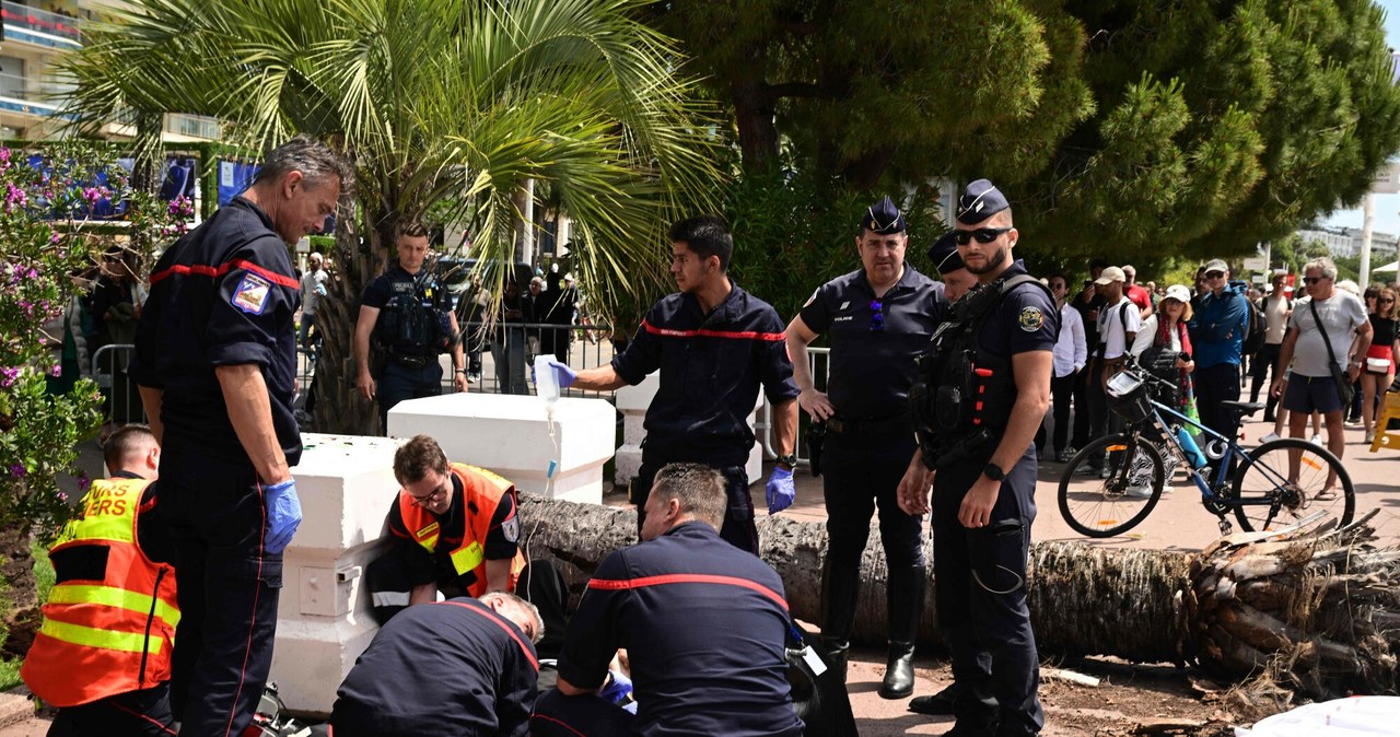 Poważny wypadek w Cannes. Palma spadła na agenta aktora