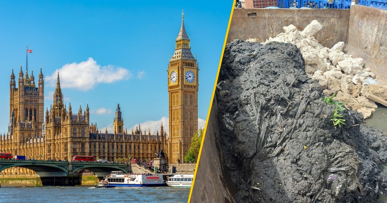 ​100 ton obrzydlistwa w Londynie. Zobacz, co blokowało kanalizację