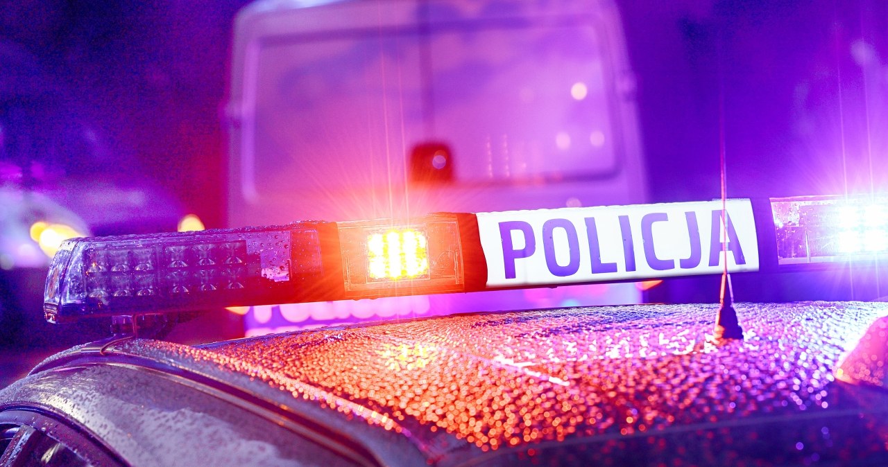 Makabryczne odkrycie. Ludzkie szczątki znalezione w rowie