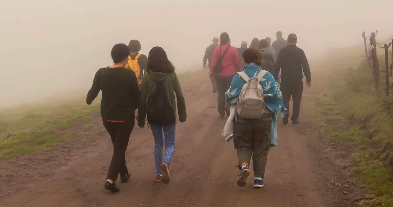Łóżko, chleb, mydło i do Polski. Niemcy przyspieszają ws. imigrantów